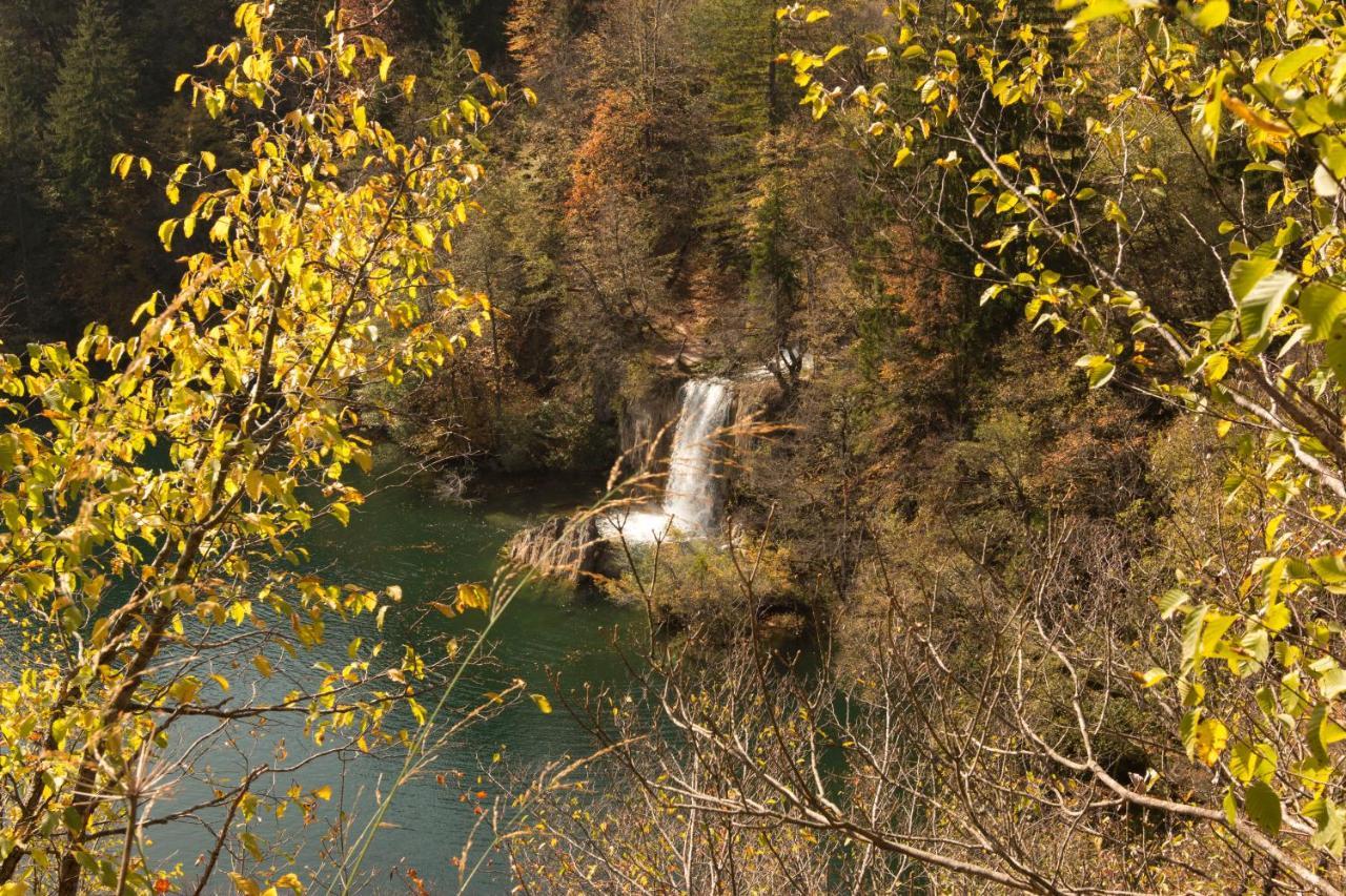 10 Minutes Walk To The Lakes Plitvička Jezera エクステリア 写真